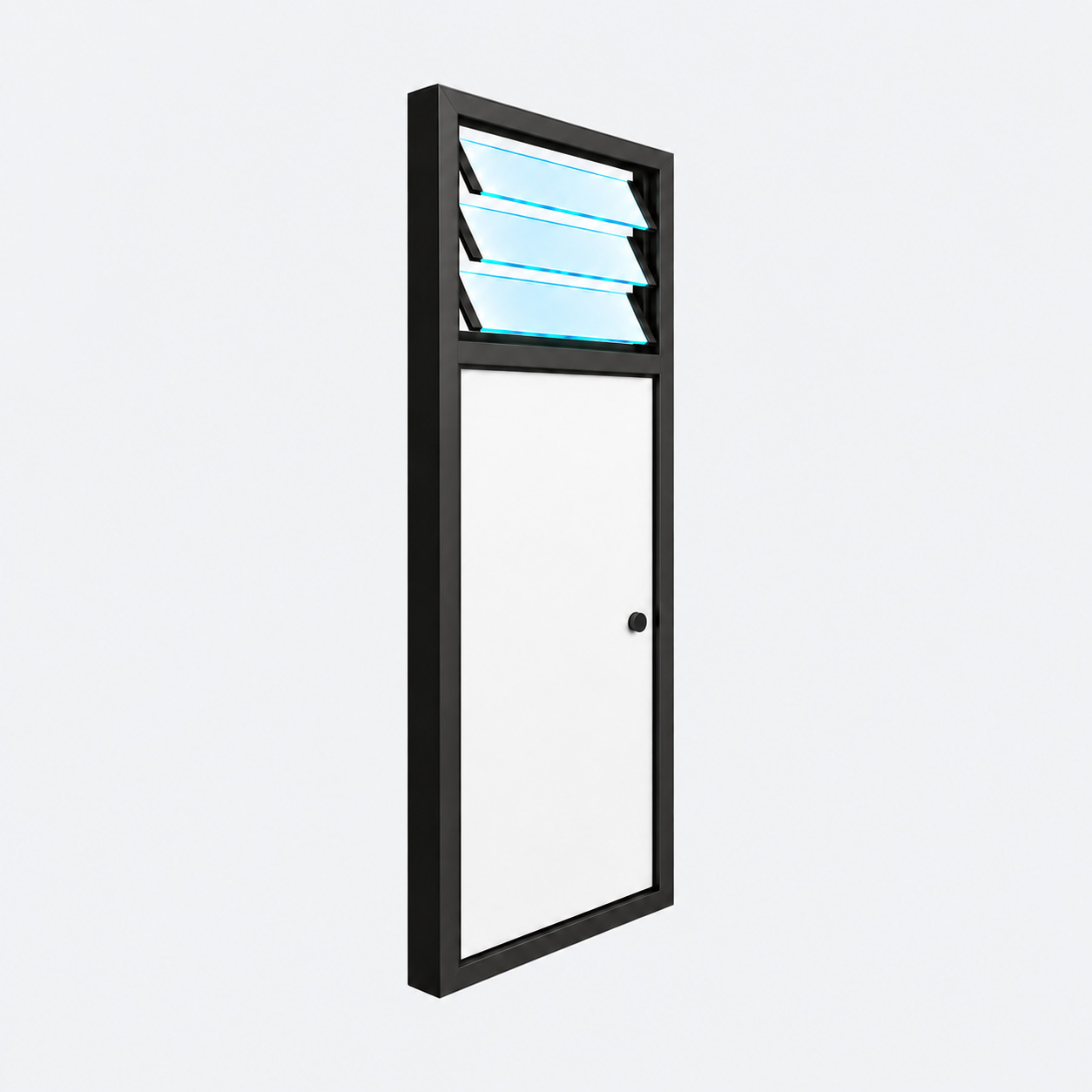 Windows Above Doors